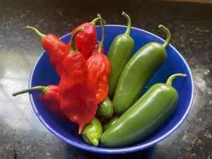 Jalepeno Green Sauce